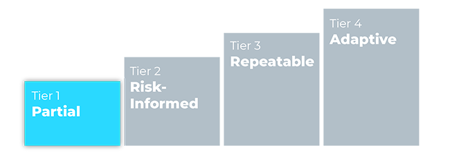 NIST CSF TIER 1