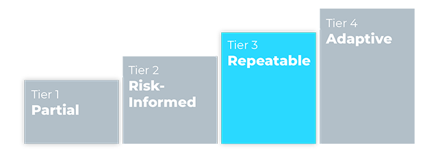 NIST CSF TIER 3